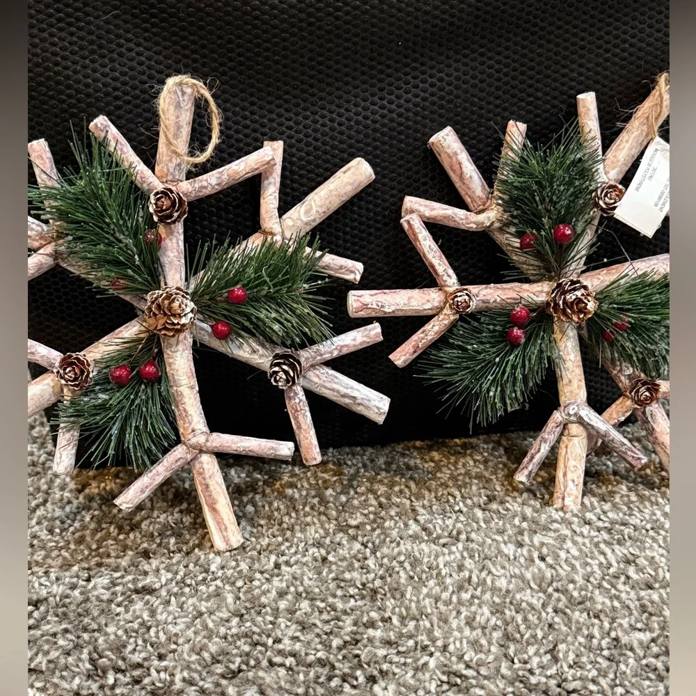 Pier 1 Rustic Twig Star & Snowflake Ornaments Michaels Fruit Pick Set of 5